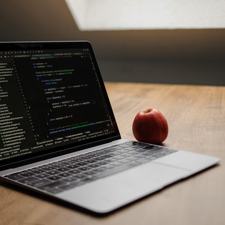 Web app development workspace
